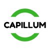 CAPILLUM 2